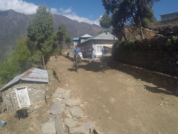 Everest base camp horse riding trek